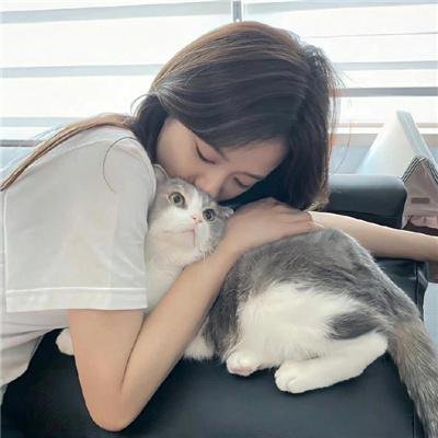扶桑有狐
